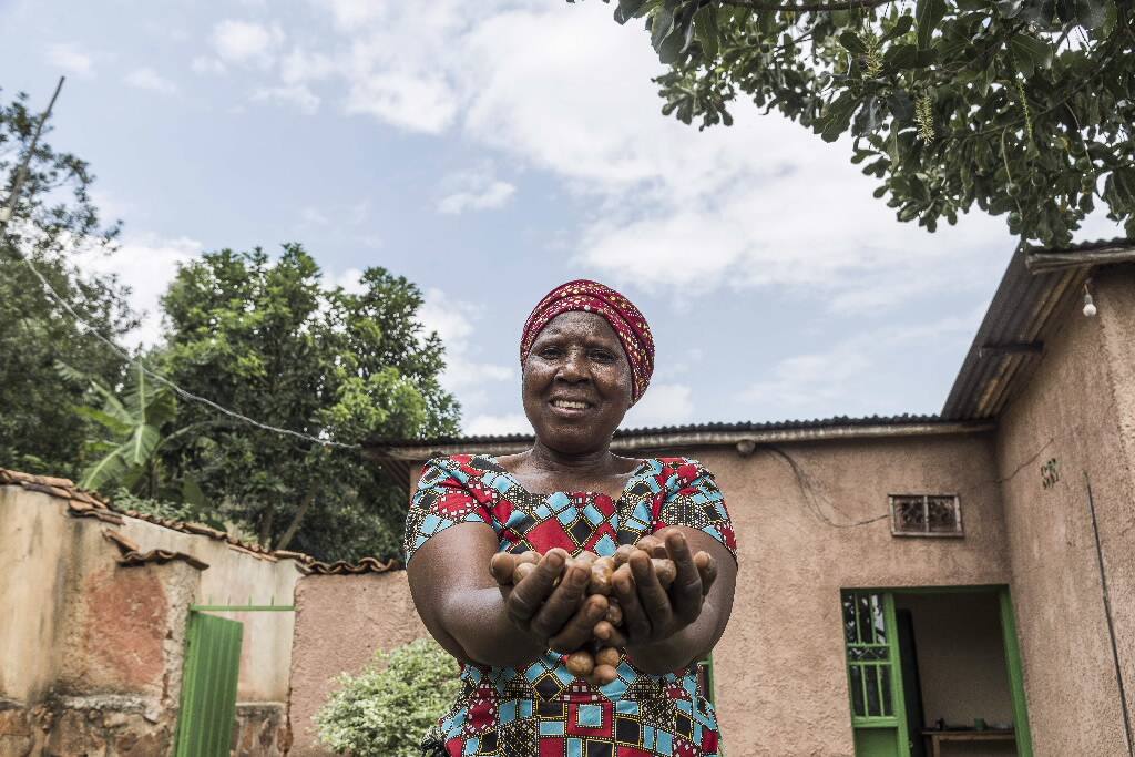 A path to market: Anteja connects sustainable African farms to ...