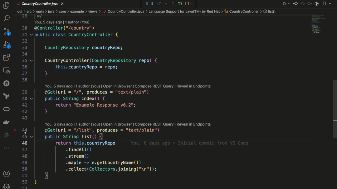 Micronaut Beans and Rest Endpoints Explorer View