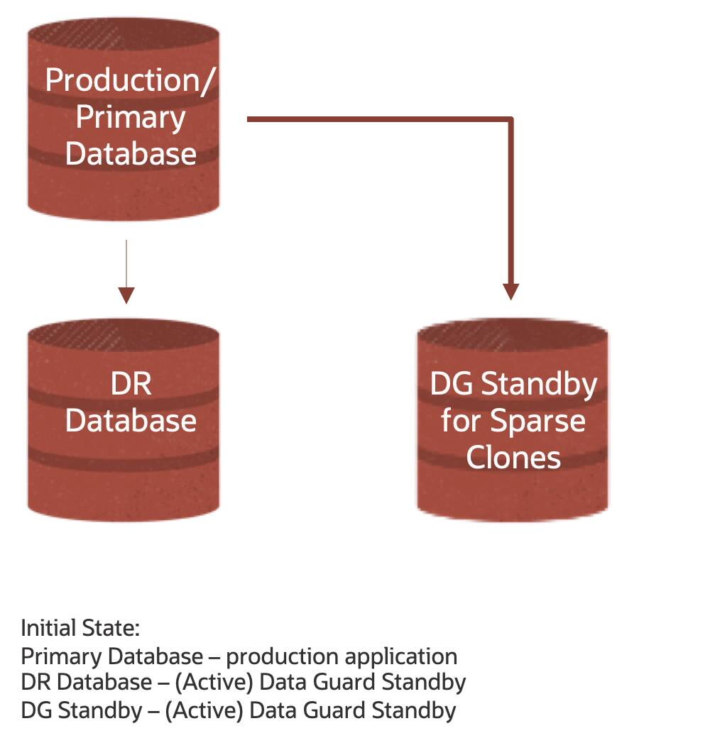 Exadata Sparse Standby
