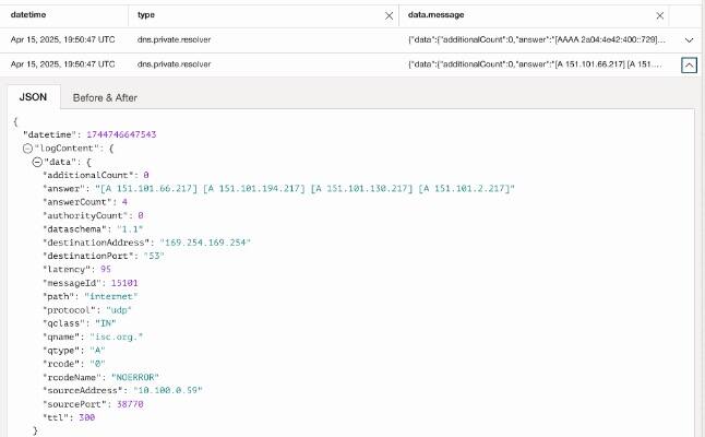 Ukázkový záznam protokolu odpovědí DNS