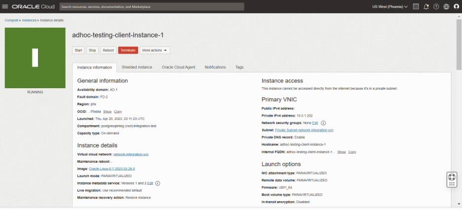 Snímek obrazovky stránky Podrobnosti o instanci v konzole zobrazující panel Informace pro danou instanci.