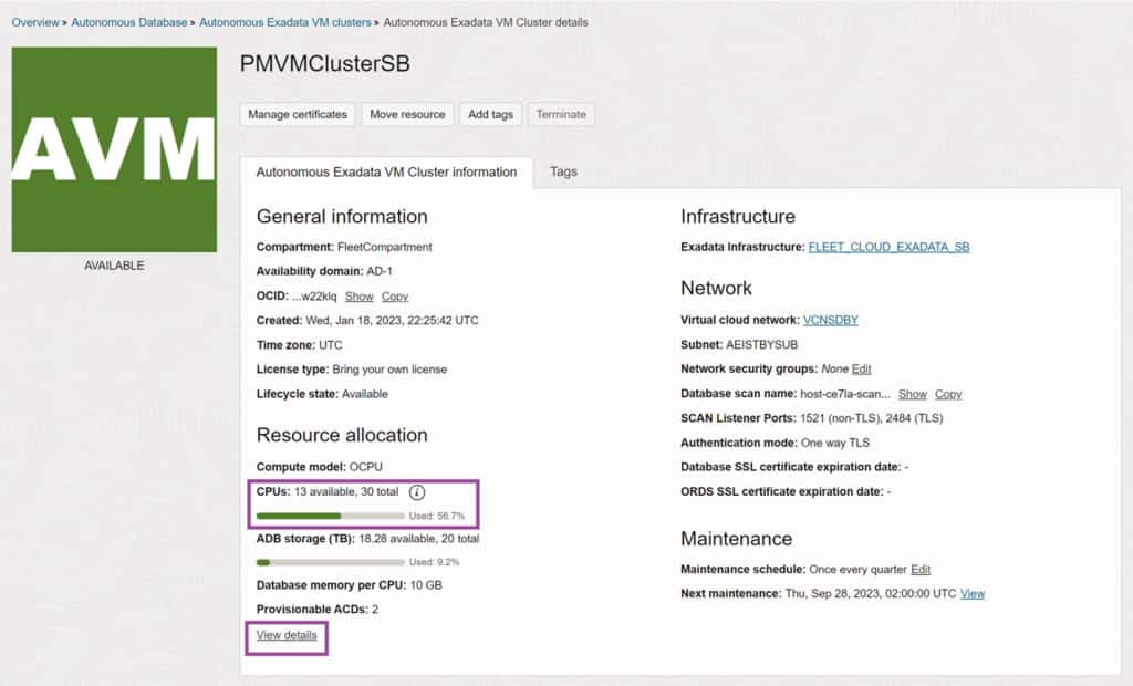 Stránka s podrobnostmi o autonomním clusteru virtuálních počítačů Exadata