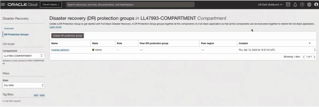 Snímek obrazovky skupiny ochrany při obnově po havárii v oddílu v primární oblasti v konzole Oracle Cloud Console.