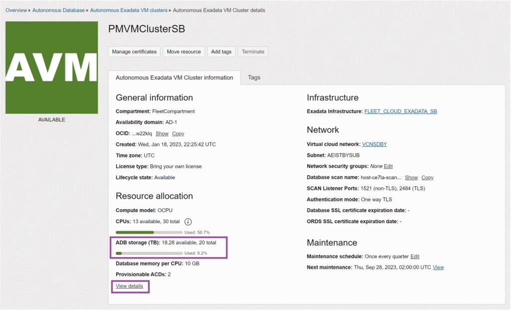 Stránka s podrobnostmi o autonomním clusteru virtuálních počítačů Exadata
