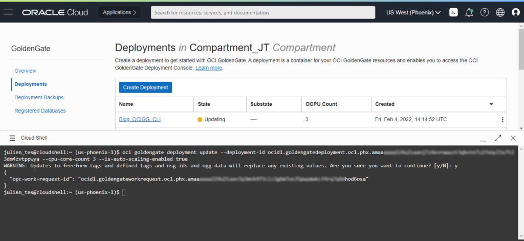 Using Oracle Cloud Infrastructure (OCI) Command Line Interface (CLI ...