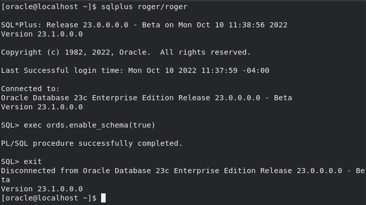 为 ords 配置数据库用户