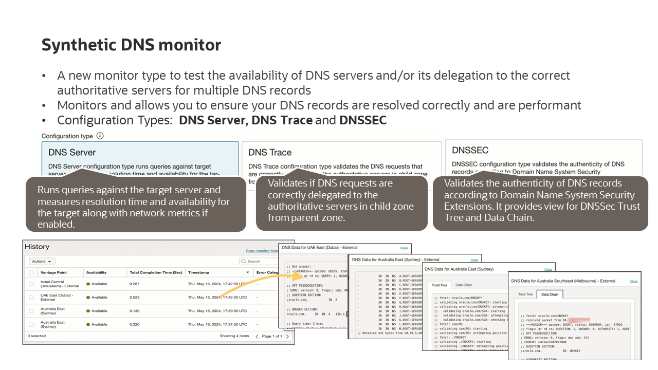 Synthetic DNS monitor