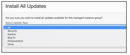 A screenshot of the Install All Updates window with the Select Update Type menu expanded.