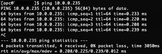 Snímek obrazovky normálního pingu.