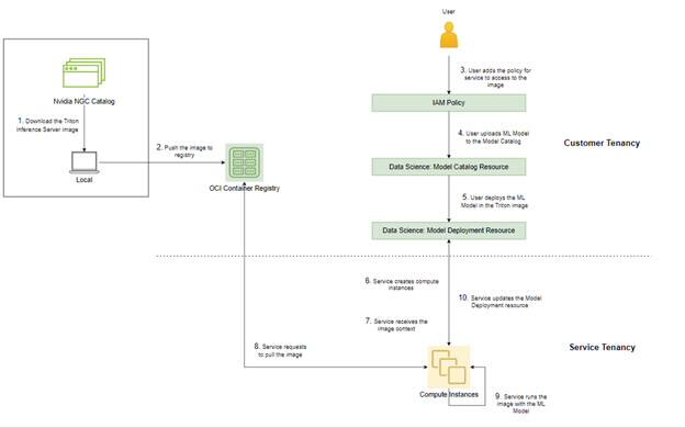 Deploying custom containers and NVIDIA Triton Inference Server in OCI ...