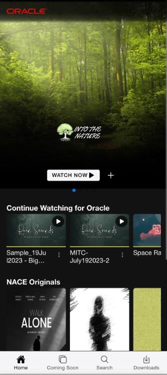 Příklad aplikace pro koncového uživatele.