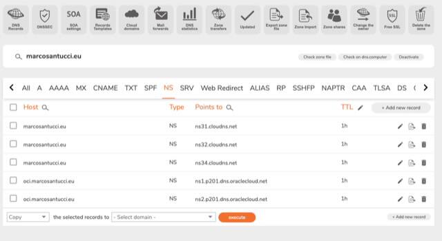 Snímek obrazovky záznamů hostovaných v zóně.