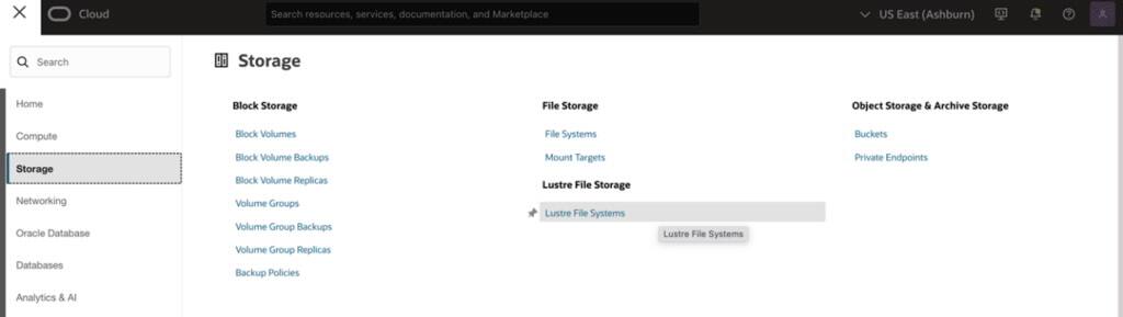 Obrázek 1: Vyberte Luster File Storage v Oracle Cloud Console