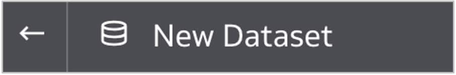 Přejmenujte novou datovou sadu