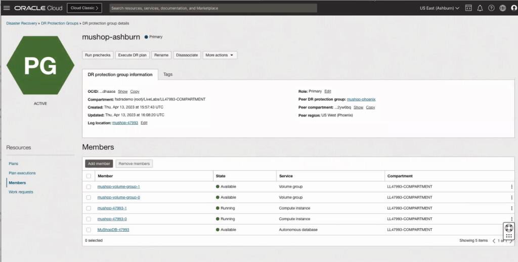 Snímek obrazovky s podrobnostmi o skupině ochrany po havárii v konzole, zobrazující členy skupiny v primární oblasti.