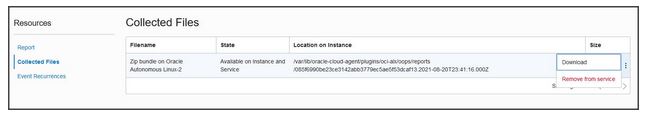 A screenshot of the Collect Files section of the Resources page with the left menu expanded and Download highlighted.
