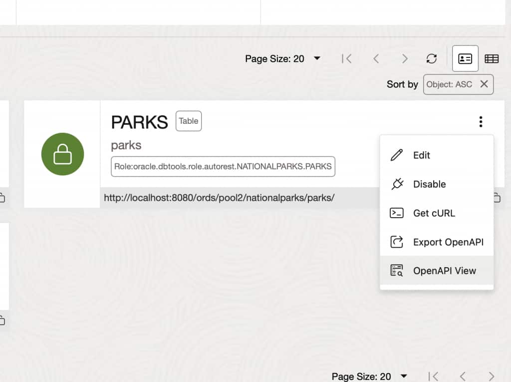 Selecting OpenAPI view in PARKS table