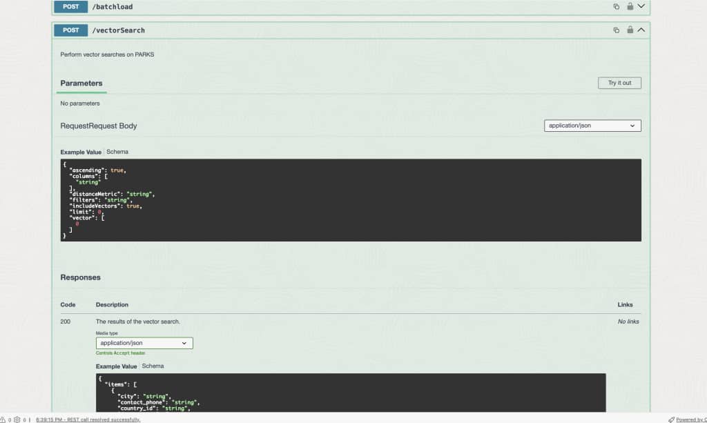 Detailed view of vectorSearch endpoint in OpenAPI view.