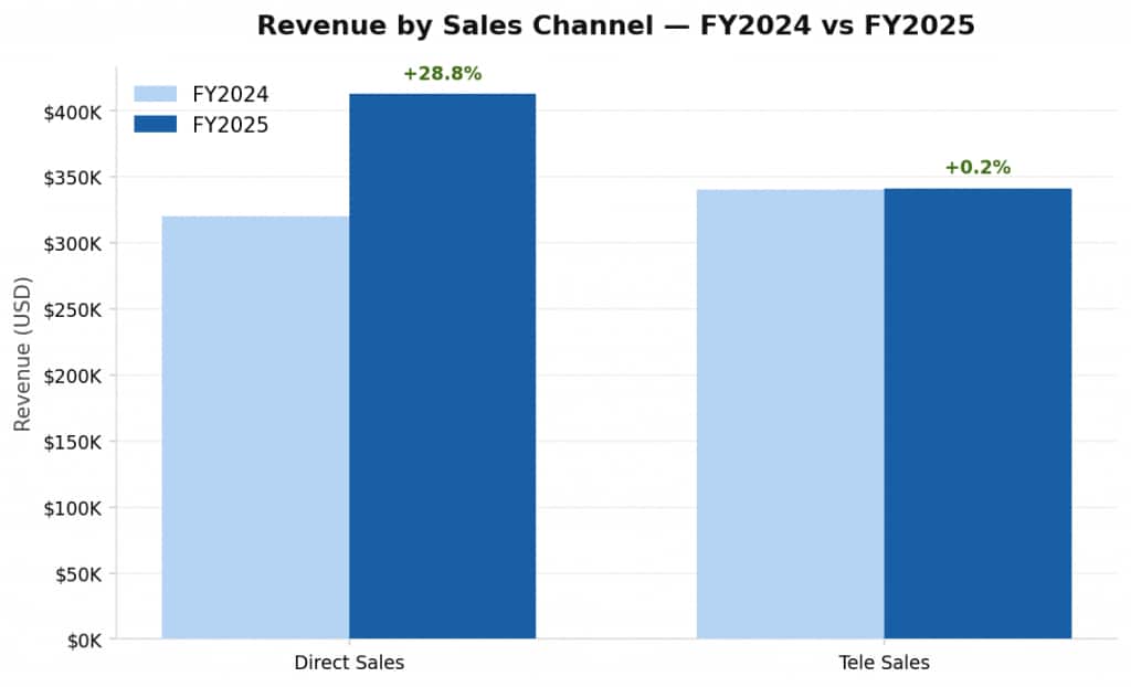 Visualization chart shows the revenue by sales channel - Financial Year 2024 vs Financial Year 2025