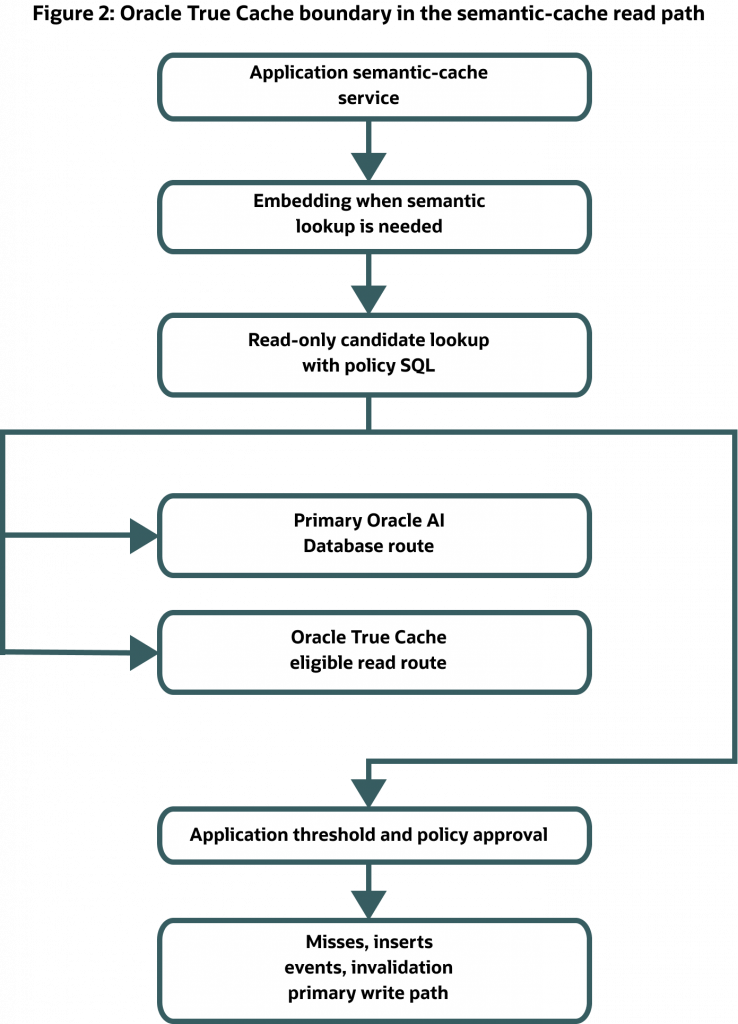 Diagram showing the semantic-cache read workflow. An application generates embeddings and performs a read-only candidate lookup governed by policy SQL. Eligible lookups can be served through Oracle True Cache or the primary Oracle AI Database route. Application-level threshold and policy checks determine answer reuse, while misses, inserts, invalidations, and events continue through the primary write path.