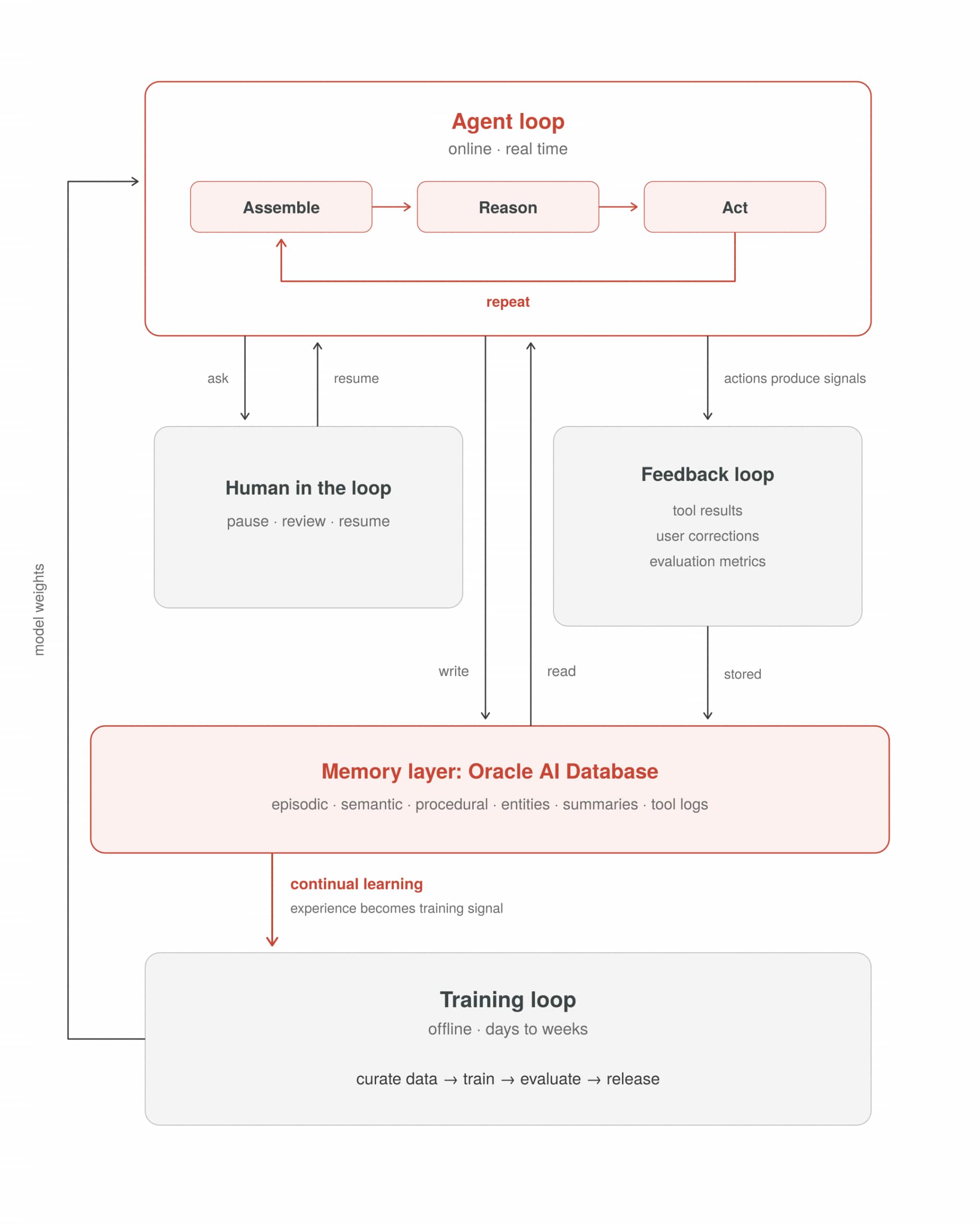 Diagram showing an agent loop connected to an Oracle AI Database memory layer. The loop assembles context, reasons, and acts while reading and writing episodic, semantic, procedural, entity, summary, and tool-log memories. Human review and feedback loops provide corrections and evaluation signals, while accumulated experience can feed future model training.