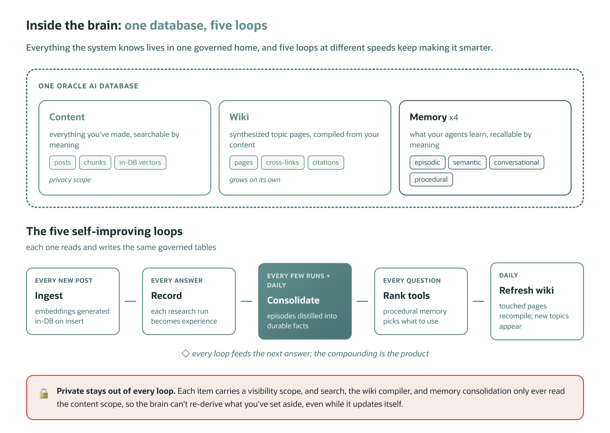 Architecture showing content, wiki, and memory stored in Oracle AI Database. Five recurring processes—ingest, record, consolidate, rank tools, and refresh wiki—continually improve retrieval while respecting privacy boundaries.