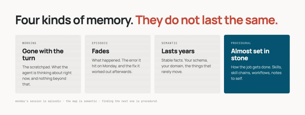 Four kinds of memory ordered by how long they last: working memory goes with
the turn, episodic fades, semantic lasts years, procedural is almost set in
stone.