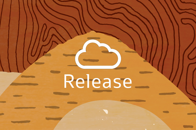 EBS Cloud Manager 25.2.1.1 Now Available