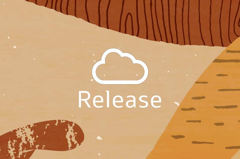 EBS Cloud Manager 25.3.3 Now Available