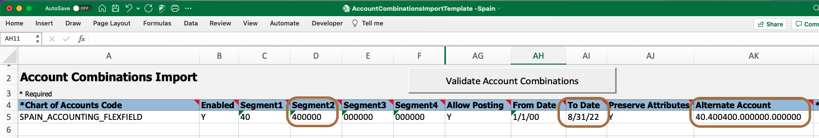 Example of alternate account definition through the Account Combinations Import FBDI.