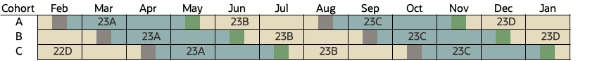 Oracle Cloud ERP: Quarterly Updates and Cohorts