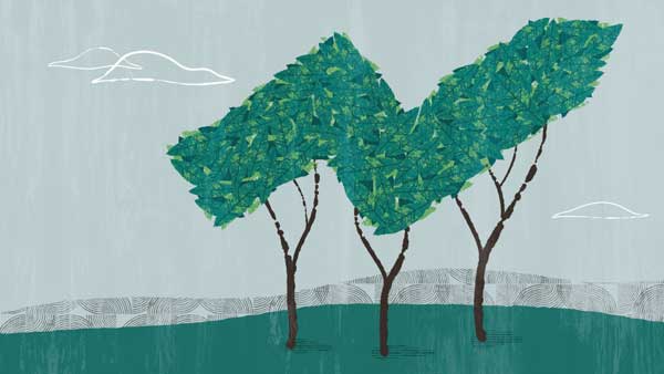 Better insights, better outcomes with ERP Analytics