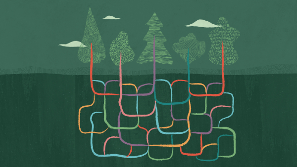 Fusion Apps integration 101—understand your options