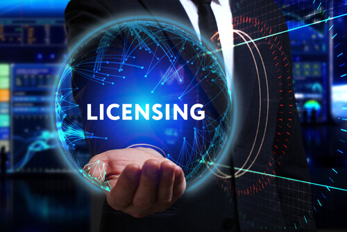 Back to the basics: What exactly is a software license?