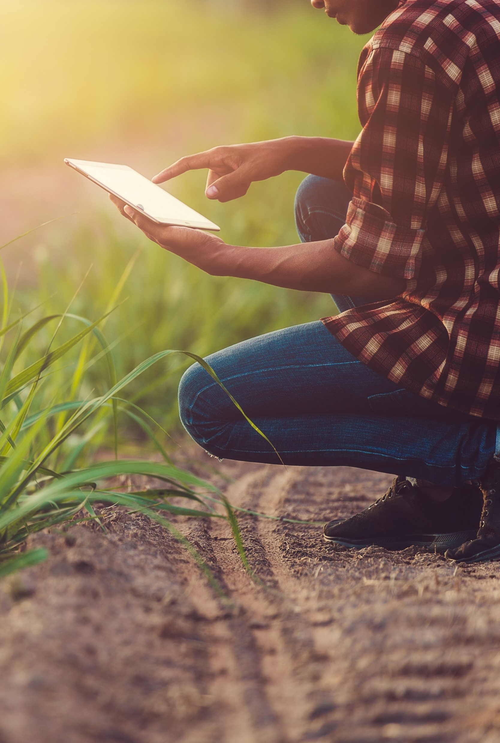 Person on a mobile device in a field