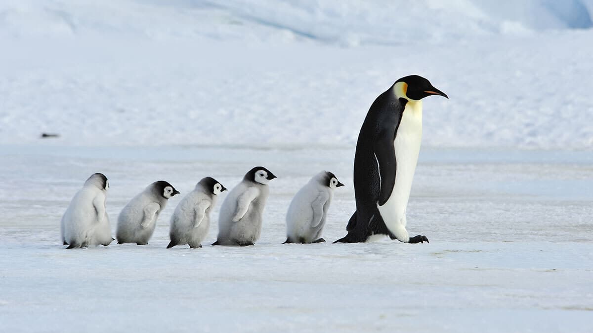 Ready for Enterprise-Grade Database Security in Multicloud?