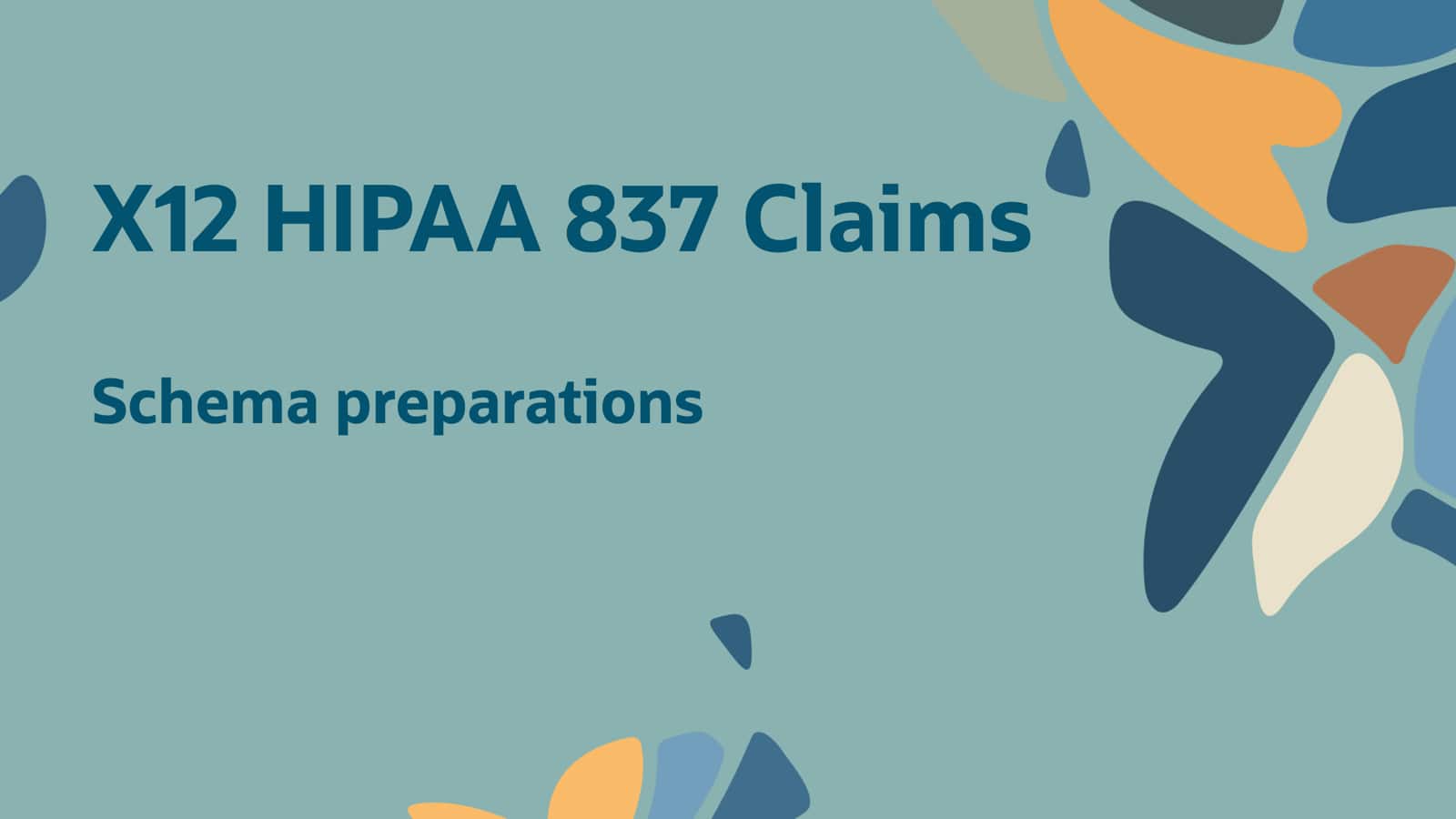 Process X12 HIPAA 837 Claim Files – Schema Preparation