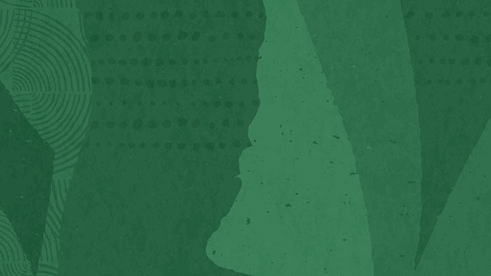 Javadoc documents are great—and better than ever with @snippets