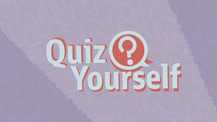 Quiz yourself: Try-with-resources and PreparedStatement database access