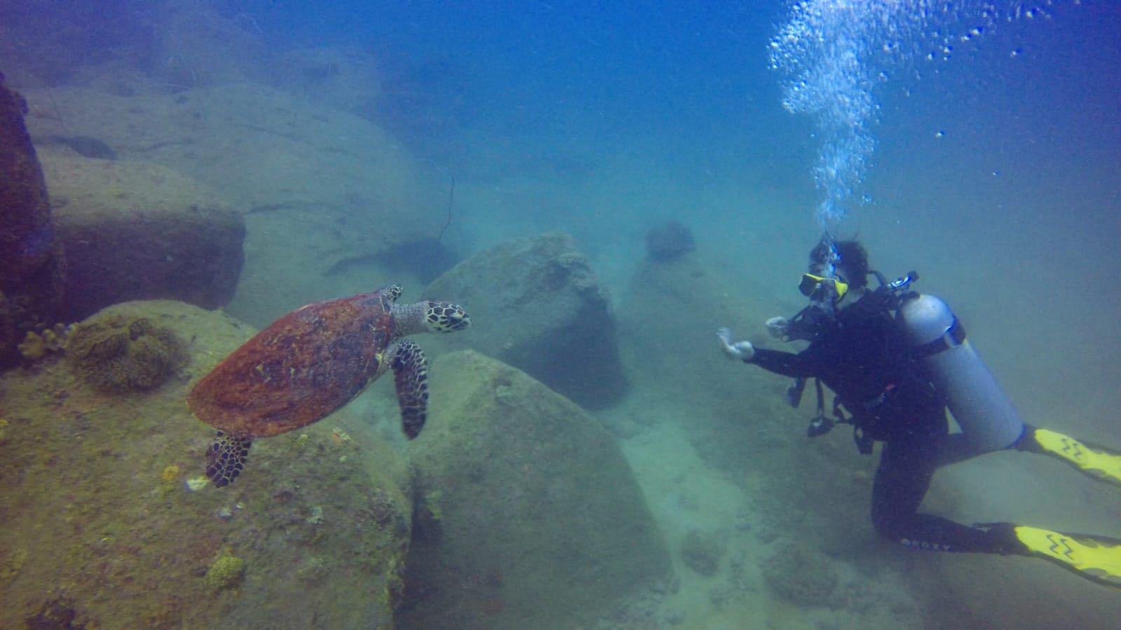 Underwater scuba picture 