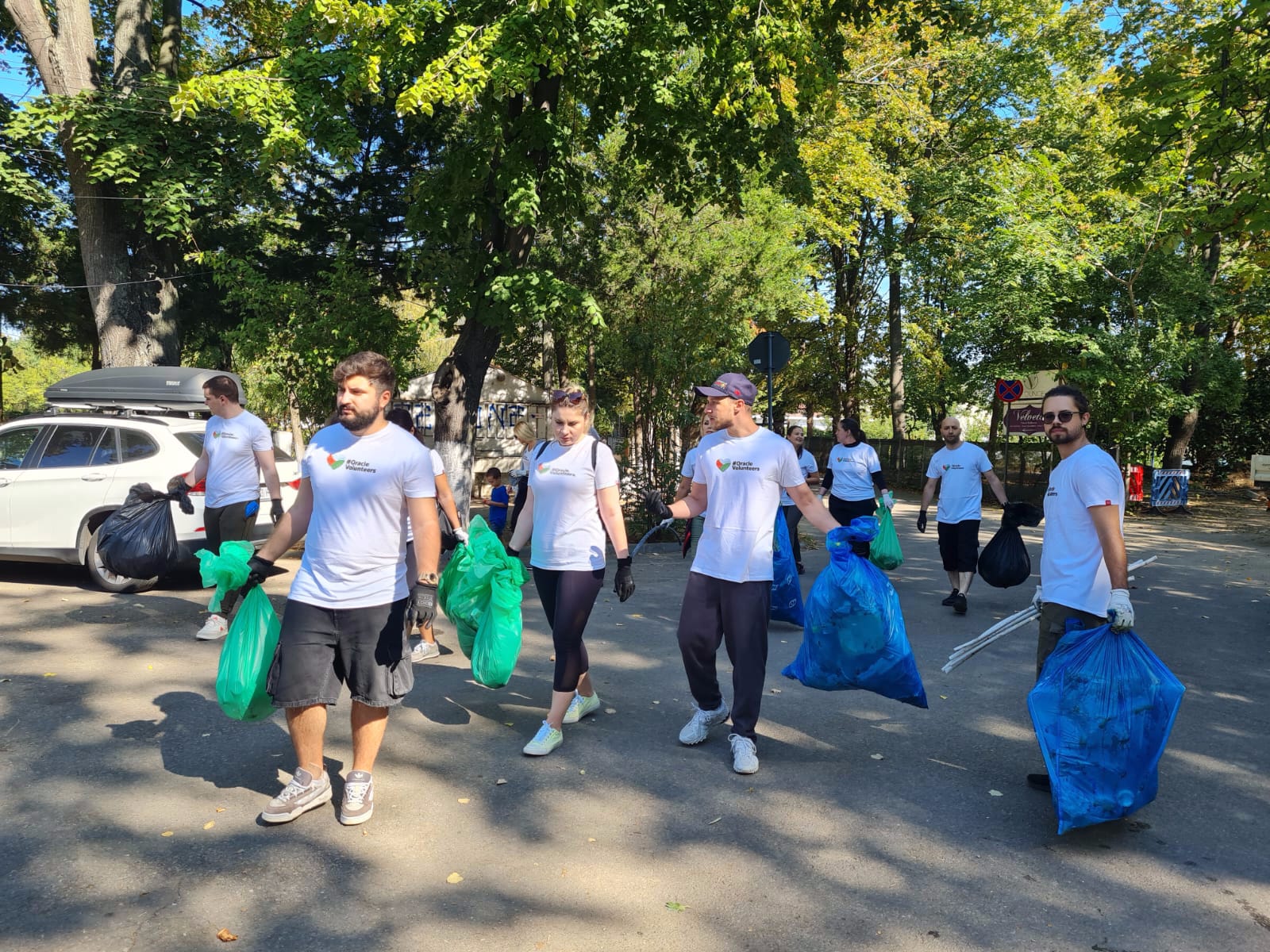 volunteering activity