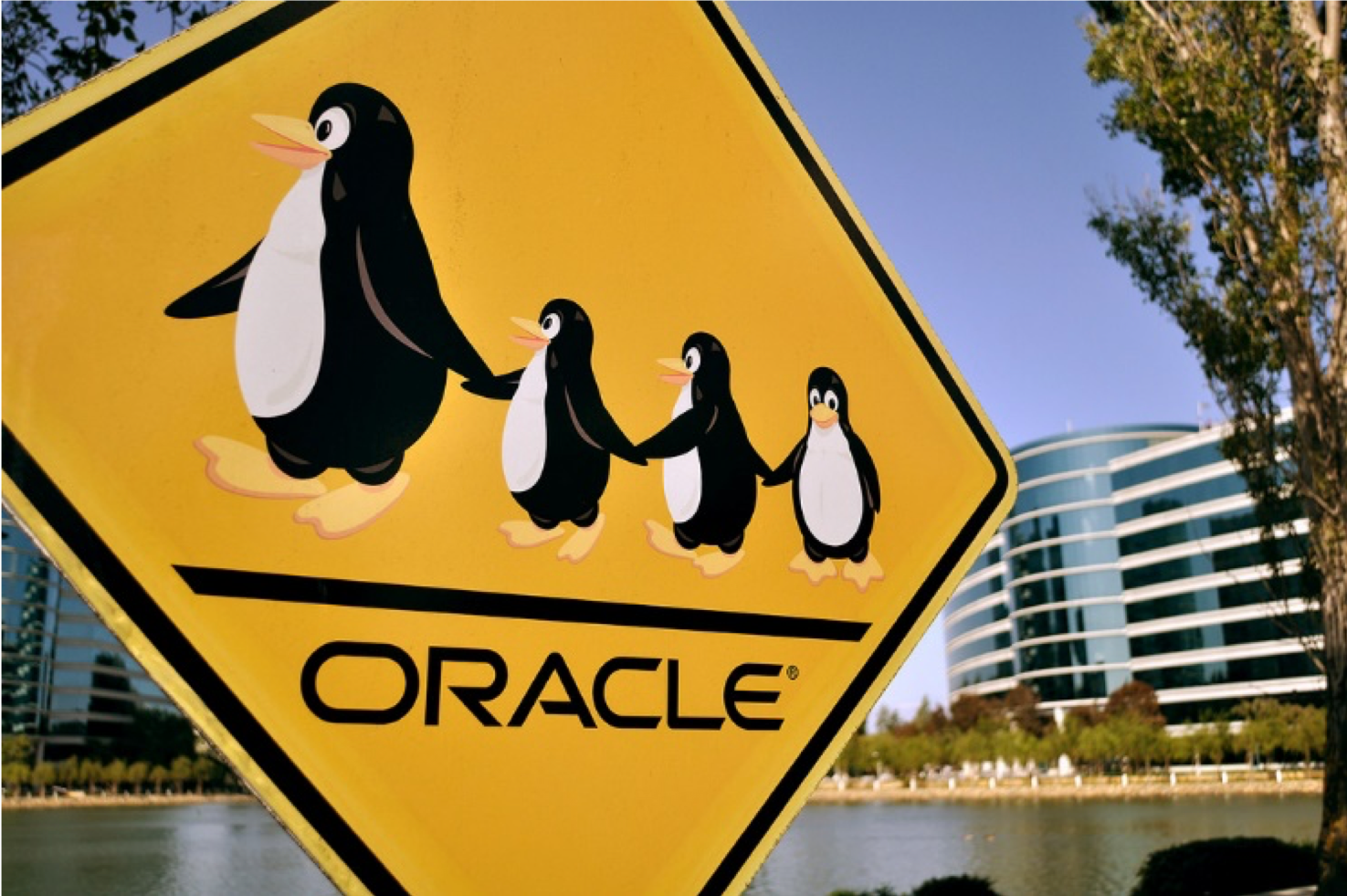 Two Decades of Penguins: Oracle Linux turns 20