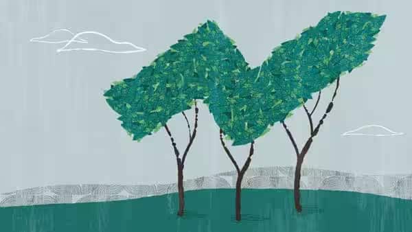 The Anonymous Reverse Mapping – An Introduction