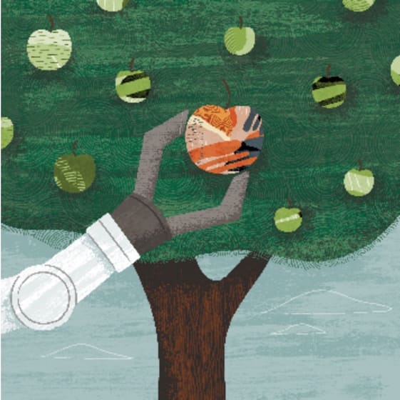 An Introduction to Folios