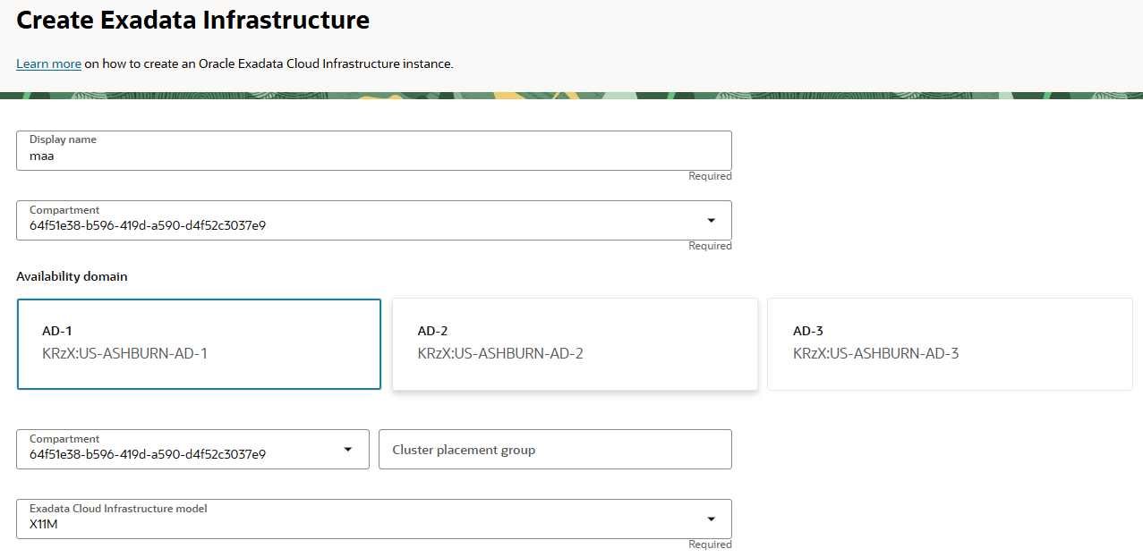 Exadata Infrastructure name