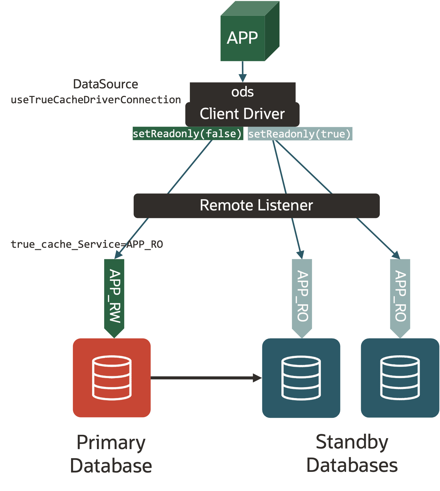 The diagram shows an application using a single data source to connect to the primary service and the read only service on active Data Guard, with the connection going to one or the other depending on setReadOnly()