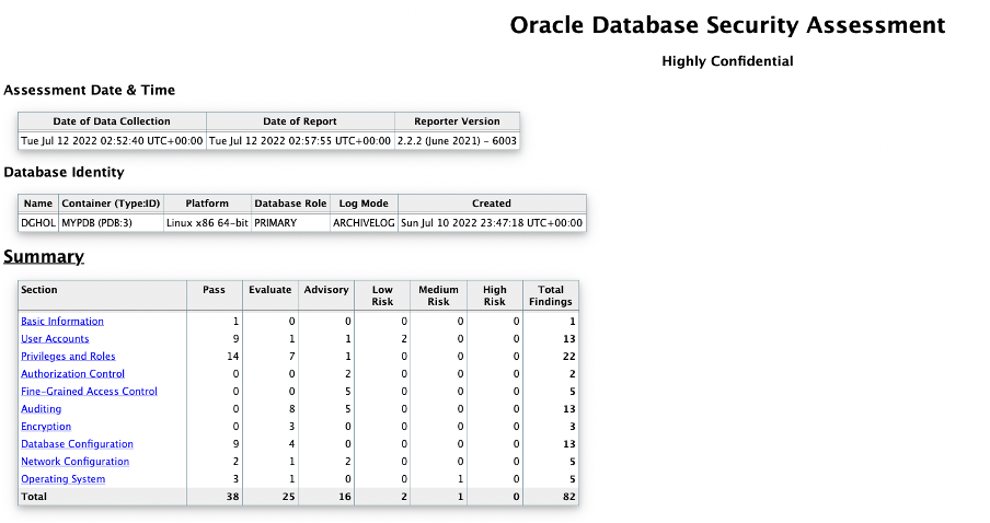 DBSAT report new primary
