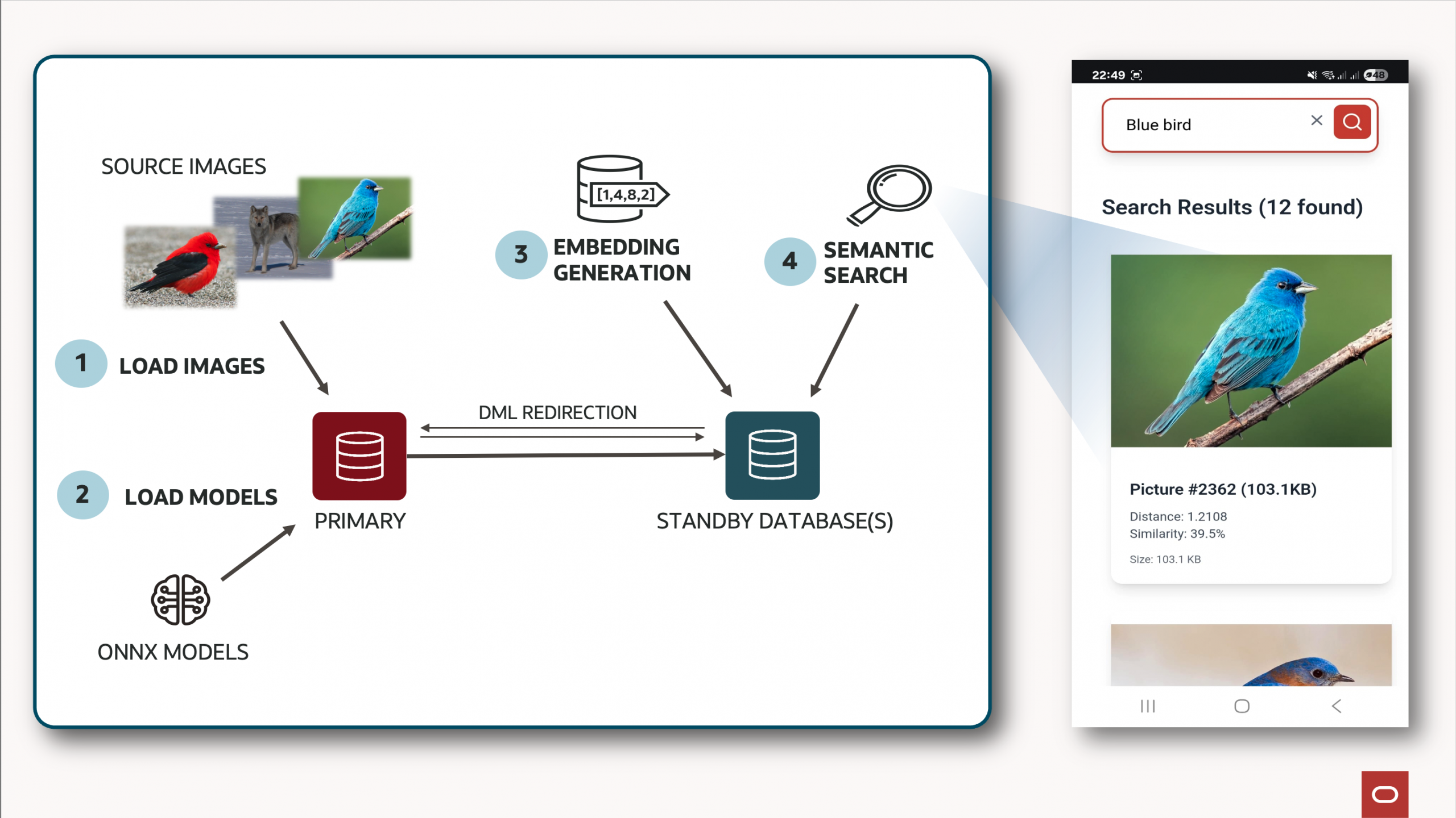 In-database AI inference on Oracle Active Data Guard: A practical walkthrough