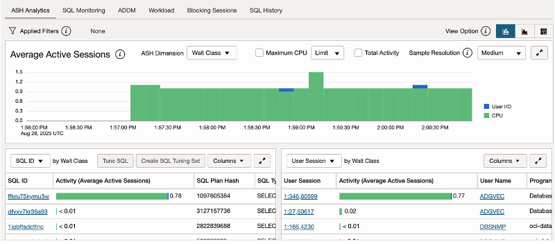 The performance hub page of the standby database shows one active session consuming CPU.