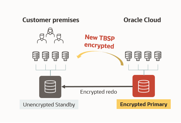 Encrypted Cloud, shipping encrypted redo logs to customer premises